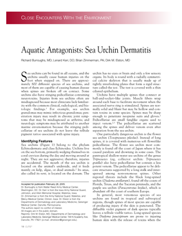 Aquatic Antagonists: Sea Urchin Dermatitis