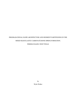 Progradational Slope Architecture and Sediment Partitioning in The