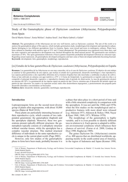 Athyriaceae, Polypodiopsida) from Spain David Martin Alonso1; Sonia Molino2; Andrea Seral3; José María Gabriel Y Galán†