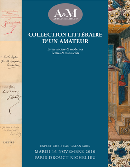 COLLECTION LITTÉRAIRE D'un AMATEUR (Et À Divers) Livres Anciens & Modernes - Lettres & Manuscrits