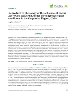 Reproductive Phenology of the Arborescent Cactus Eulychnia Acida Phil