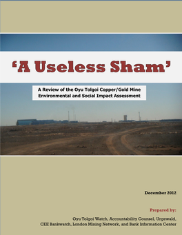 A Review of the Oyu Tolgoi Copper/Gold Mine Environmental and Social Impact Assessment