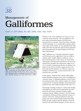 Management of Galliformes