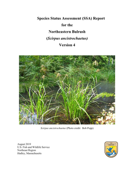 Species Status Assessment (SSA) Report for the Northeastern Bulrush (Scirpus Ancistrochaetus) Version 4