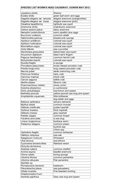 Species List Worm's Head Causeway, Gower May 2012 - Coastwise