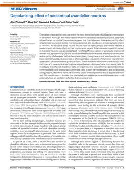 Depolarizing Effect of Neocortical Chandelier Neurons