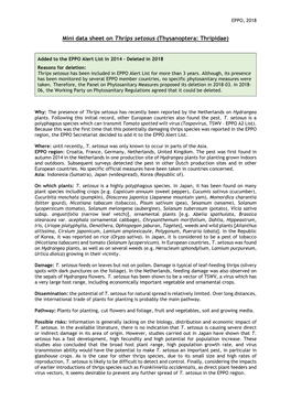 Mini Data Sheet on Thrips Setosus (Thysanoptera: Thripidae)