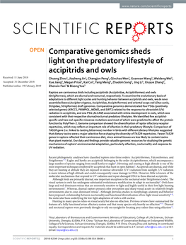 Comparative Genomics Sheds Light on the Predatory Lifestyle of Accipitrids