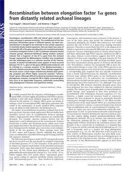 Recombination Between Elongation Factor 1 Genes from Distantly Related