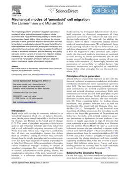 Mechanical Modes of 'Amoeboid' Cell Migration