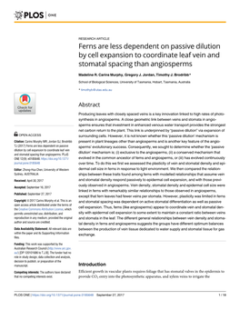 Ferns Are Less Dependent on Passive Dilution by Cell Expansion to Coordinate Leaf Vein and Stomatal Spacing Than Angiosperms