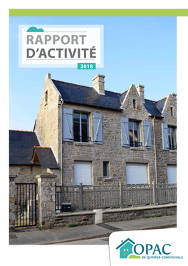 Rapport D'activité