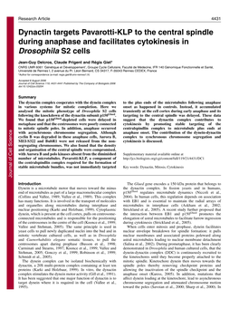 Dynactin Targets Pavarotti-KLP to the Central Spindle During Anaphase and Facilitates Cytokinesis in Drosophila S2 Cells