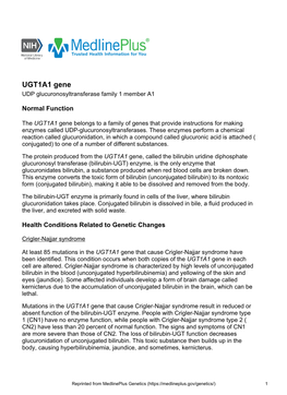 UGT1A1 Gene UDP Glucuronosyltransferase Family 1 Member A1