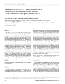 Clupeomorpha, Ellimmichthyiformes) from the Albian Limestones of Tlayúa Quarry, Puebla, Mexico