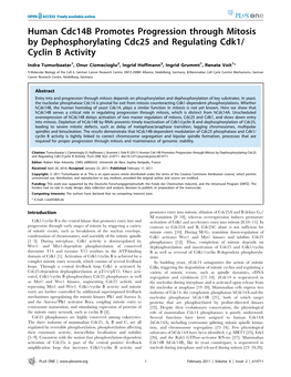 Cellular Fractionation