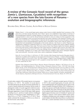 A Review of the Cenozoic Fossil Record of the Genus Zamia L. (Zamiaceae, Cycadales) with Recognition of a Ne