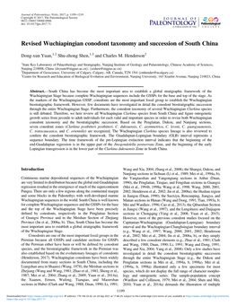 Revised Wuchiapingian Conodont Taxonomy and Succession of South China