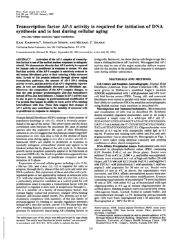 Transcription Factor AP-1 Activity Is Required for Initiation of DNA