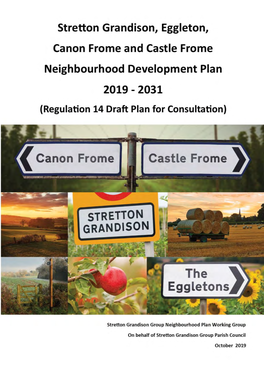 Draft Neighbourhood Development Plan (NDP)