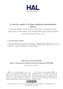 A Role for Septin 2 in Drp1-Mediated Mitochondrial Fission