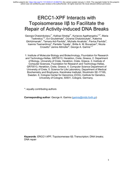 ERCC1-XPF Interacts with Topoisomerase Iiβ to Facilitate the Repair of Activity-Induced DNA Breaks