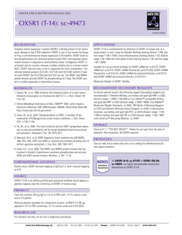 Datasheet Blank Template