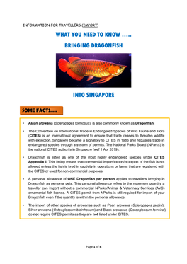 What You Need to Know ….. Bringing Dragonfish Into Singapore