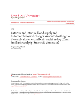 Extrinsic and Intrinsic Blood Supply and Histomorphological Changes