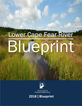 Cape Fear River Blueprint