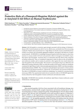 Protective Role of a Donepezil-Huprine Hybrid Against the -Amyloid (1-42) Effect on Human Erythrocytes