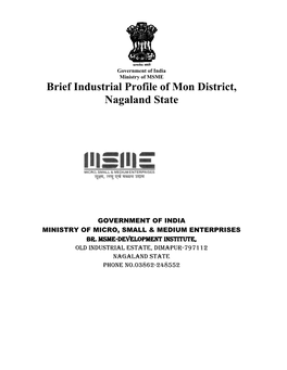 Brief Industrial Profile of Mon District, Nagaland State