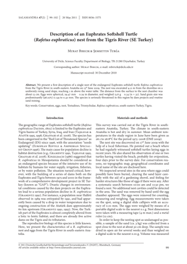 Description of an Euphrates Softshell Turtle (Rafetus Euphraticus) Nest from the Tigris River (SE Turkey)