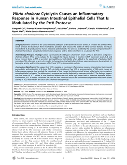 Vibrio Cholerae Cytolysin Causes an Inflammatory Response in Human Intestinal Epithelial Cells That Is Modulated by the Prtv Protease