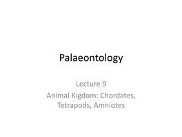 Palaeontology