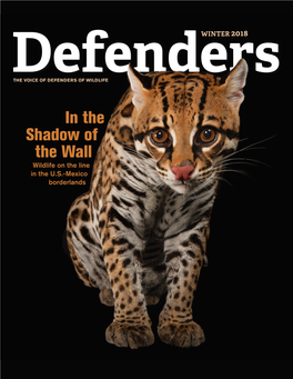 In the Shadow of the Wall Wildlife on the Line in the U.S.-Mexico Borderlands [ Cover Exclusive ]