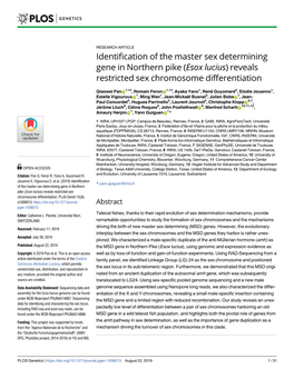 (Esox Lucius) Reveals Restricted Sex Chromosome Differentiation