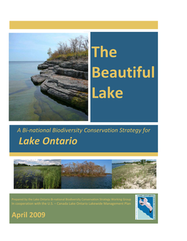 The Beautiful Lake: a Bi‐National Biodiversity Conservation Strategy for Lake Ontario