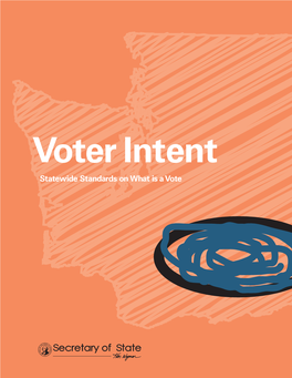 Voter Intent Manual