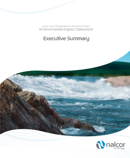 Environmental Impact Statement Executive Summary