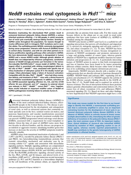 Nedd9 Restrains Renal Cystogenesis in Pkd1 Mice