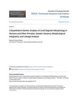 A Quantitative Genetic Analysis of Limb Segment Morphology in Humans and Other Primates: Genetic Variance, Morphological Integration, and Linkage Analysis