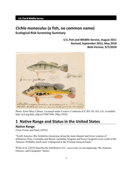 Cichla Monoculus (A Fish, No Common Name) Ecological Risk Screening Summary