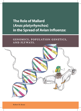 (Anas Platyrhynchos) in the Spread of Avian Influenza