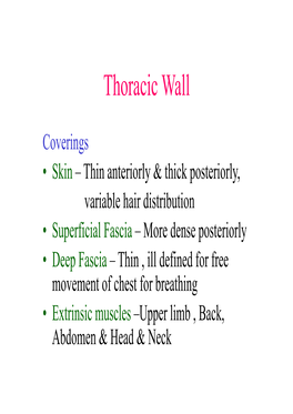 Intercostal Spaces • Eleven (11) Intercostal Spaces on Each Side • Last Two Spaces Are Open in Front