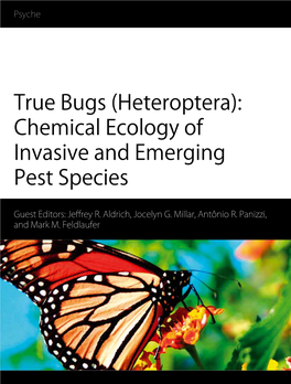 True Bugs (Heteroptera): Chemical Ecology of Invasive and Emerging Pest Species