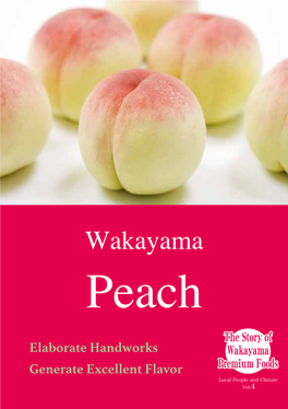 Characteristics of Peach Summer – Harvest Peach Cultuivars Every Morning, the Farmers Start to Harvest Peach Fruits Before Sunrise