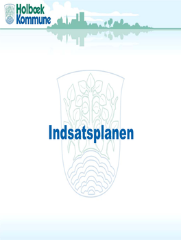 Indsatsplanen Hvorfor En Indsatsplan?