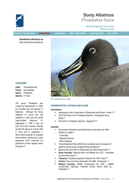 Sooty Albatross Phoebetria Fusca