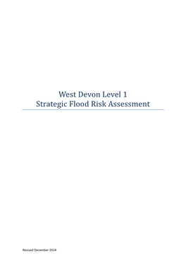 West Devon Level 1 Strategic Flood Risk Assessment